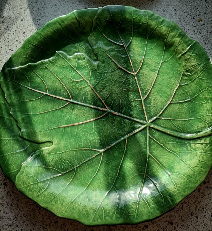 Leaf Plates 2